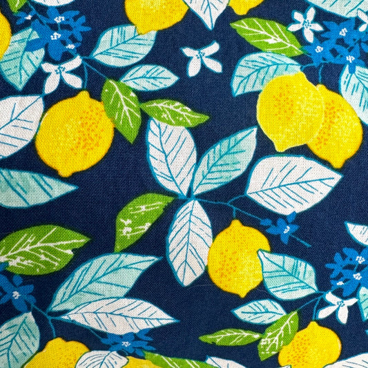 Travel Cosmetic Sustainable Zip 'n Go Bags — Limoncello