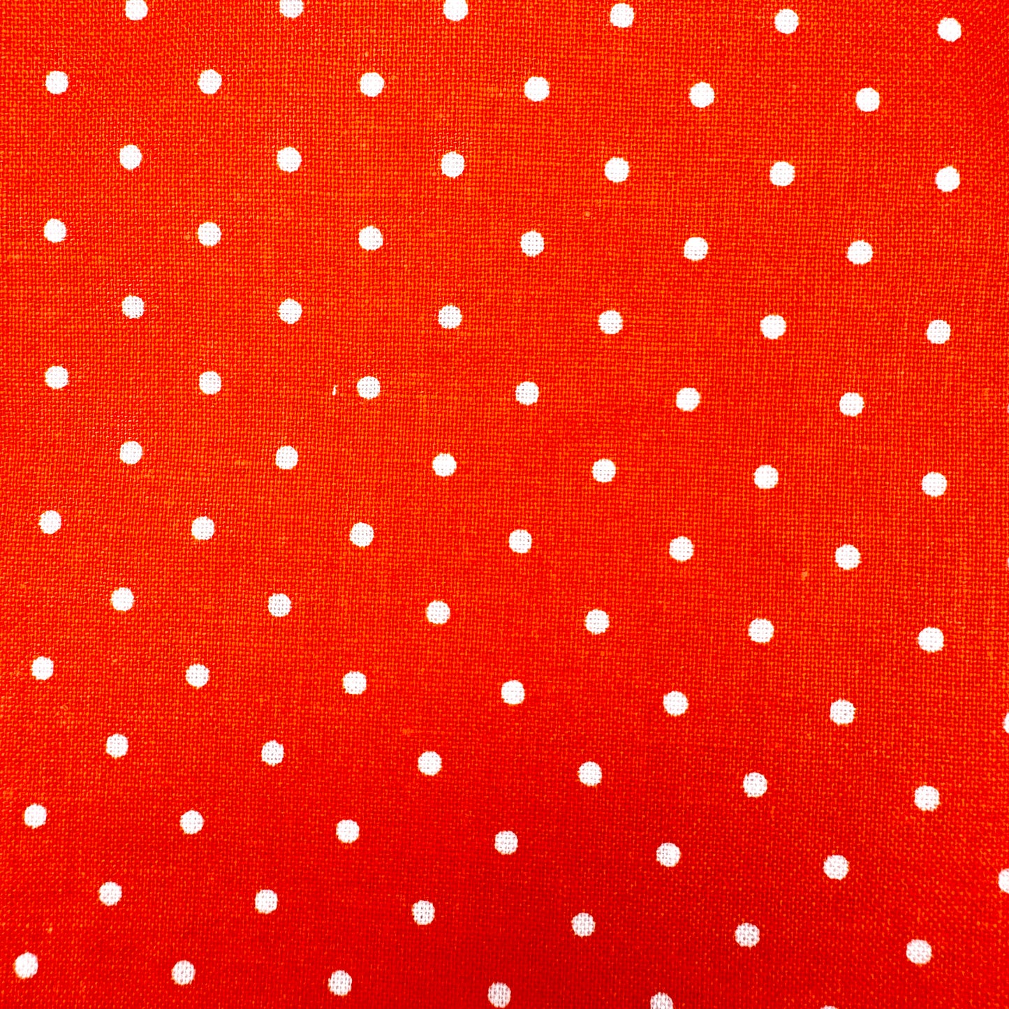 Sandwich Bag Food Safe - Tangerine Twist