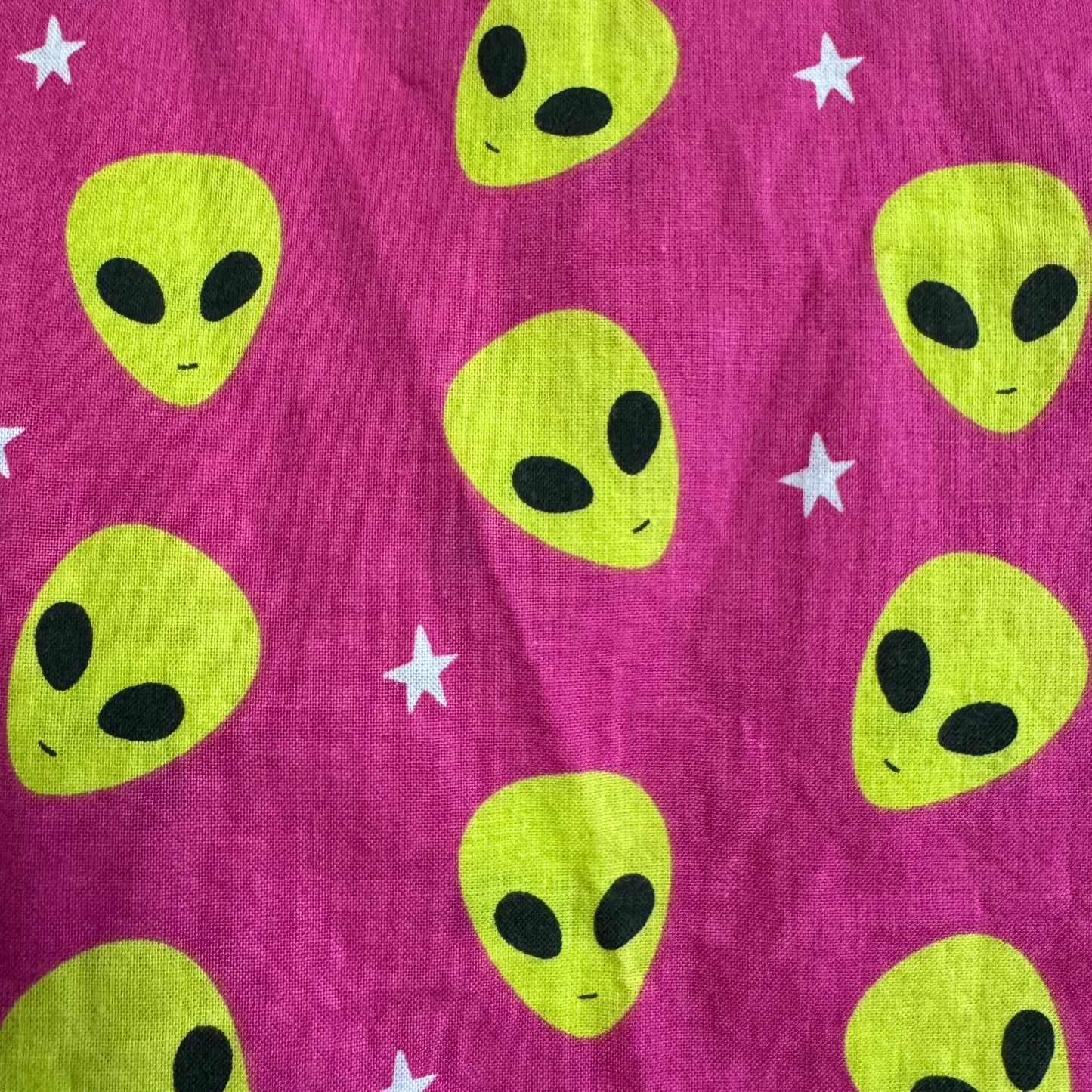 Food Bag Sets - Aliens Among Us