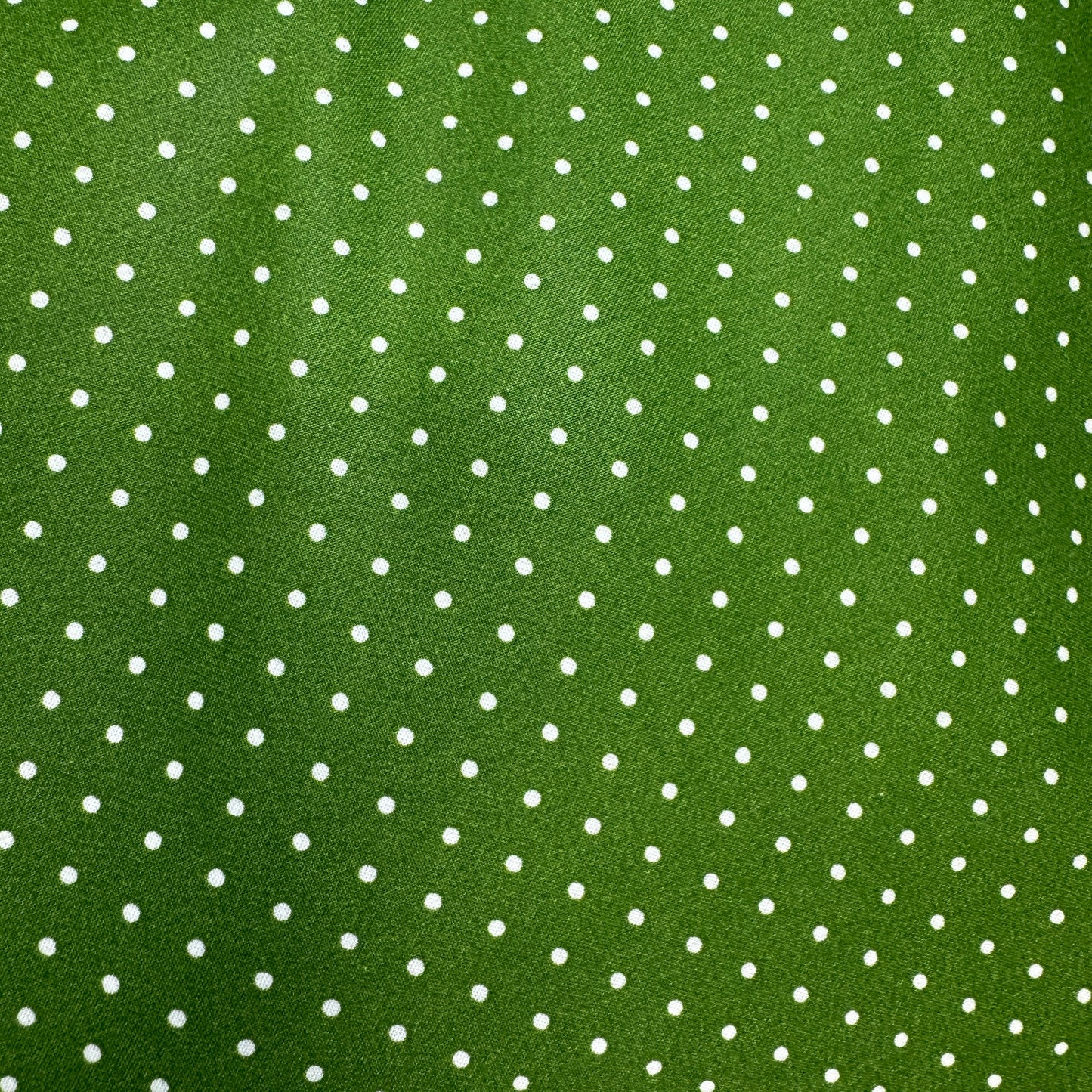 Large Wet Bag — Dark Green with Polkadots